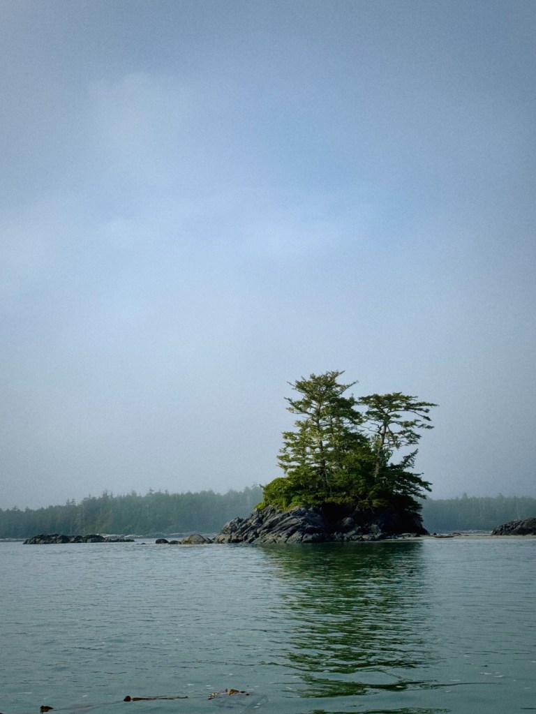 Single treed islet on the ocean